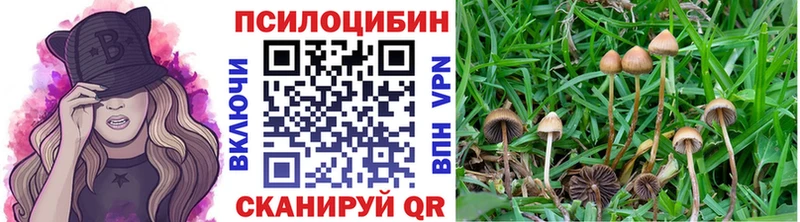 наркота  Ужур  Галлюциногенные грибы MAGIC MUSHROOMS 