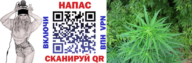 купить закладку  Ужур  Каннабис тримм 